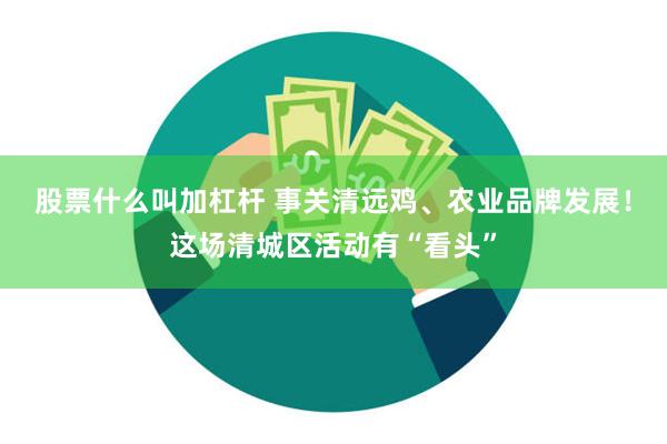 股票什么叫加杠杆 事关清远鸡、农业品牌发展！这场清城区活动有“看头”