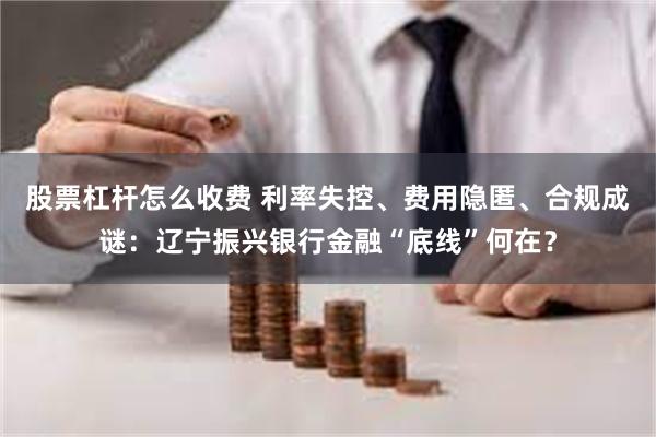 股票杠杆怎么收费 利率失控、费用隐匿、合规成谜：辽宁振兴银行金融“底线”何在？